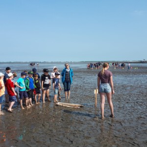 Kinderwattspiele 2019